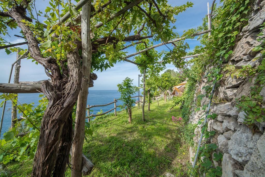 Cannaverde - Amalfi Coast Camp Villa ไมยอรี ภายนอก รูปภาพ